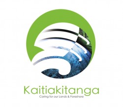Kaitiakitanga